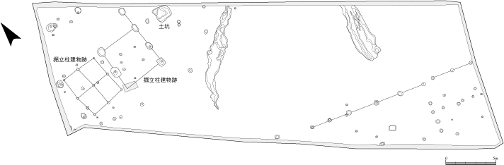 別府遺跡_1区遺構図